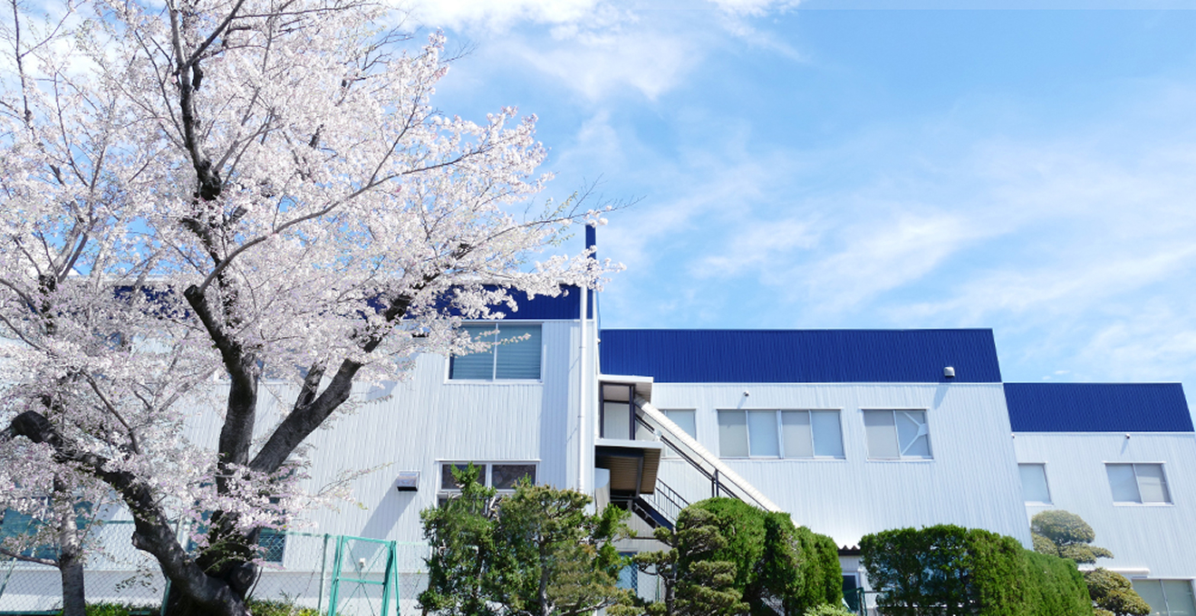 採用情報イメージ